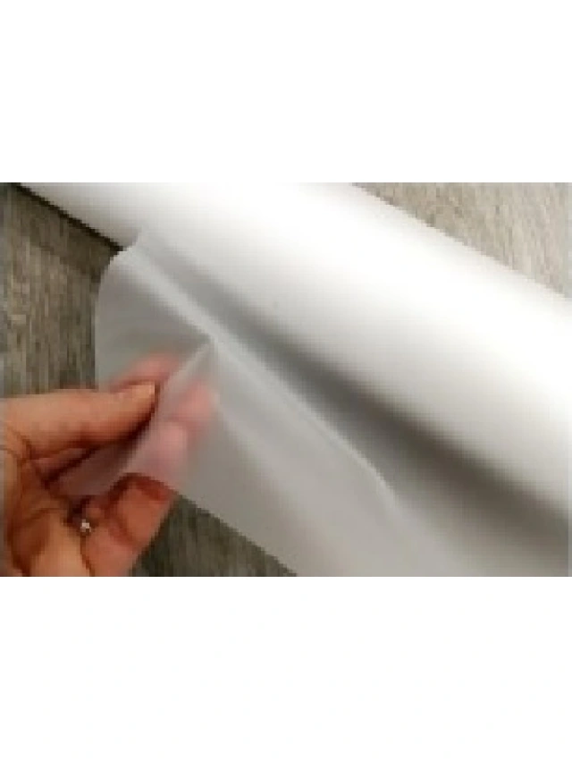 PASTICO ALIMENTICIO